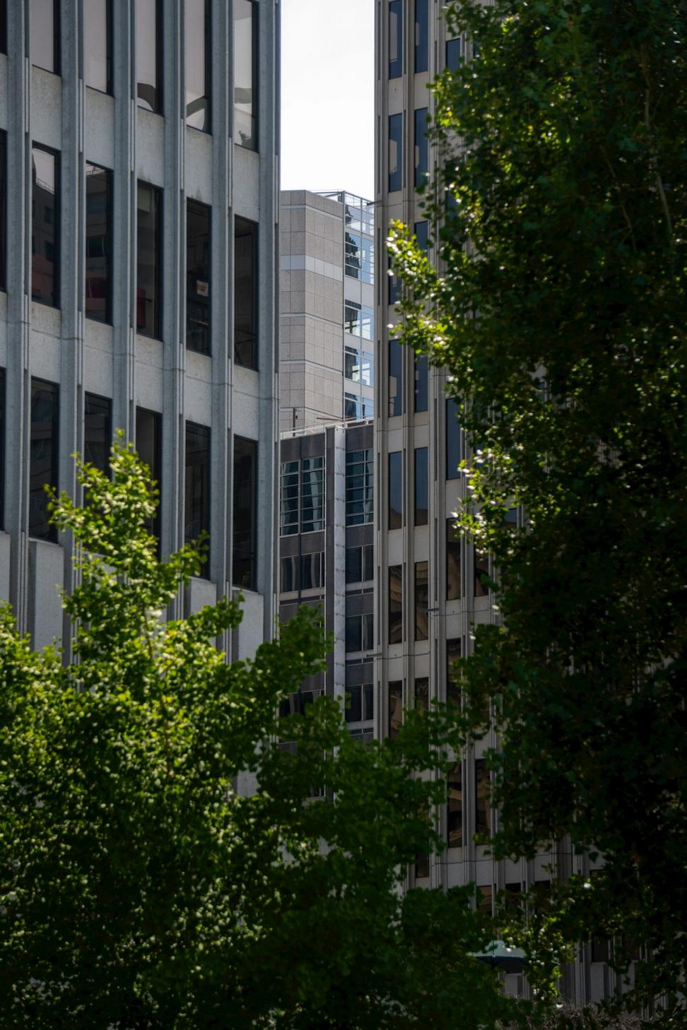Modern Office Building